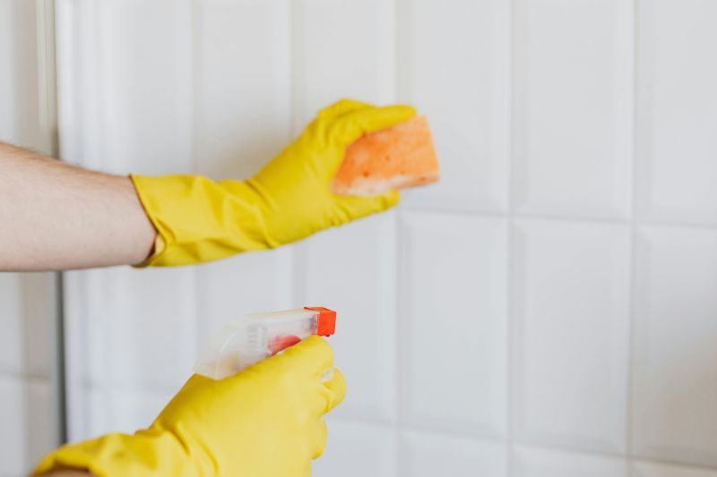 home cleaning01 home organization, home cleaning tips